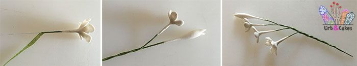 Finger Flowers 07